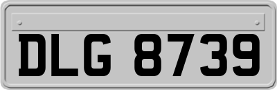 DLG8739