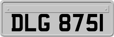 DLG8751