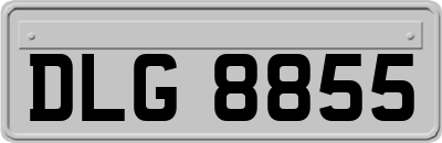 DLG8855