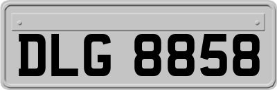 DLG8858