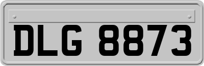 DLG8873