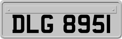 DLG8951