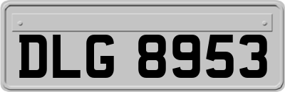 DLG8953