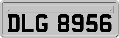 DLG8956