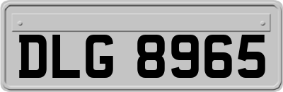 DLG8965