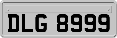 DLG8999