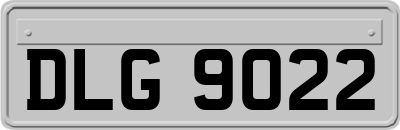 DLG9022