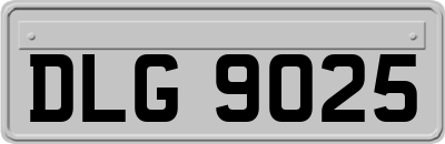 DLG9025