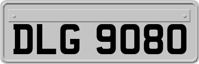 DLG9080