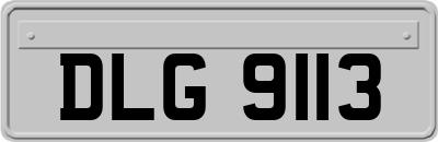 DLG9113