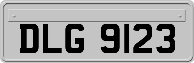 DLG9123