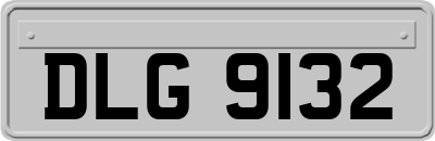 DLG9132