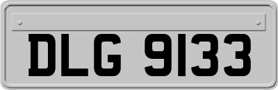 DLG9133