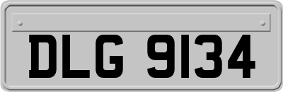 DLG9134
