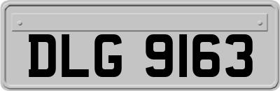 DLG9163