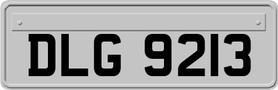 DLG9213