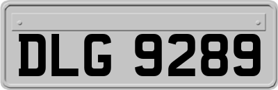 DLG9289