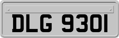 DLG9301