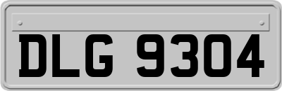 DLG9304