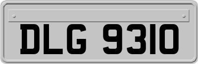 DLG9310