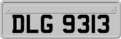 DLG9313