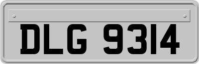 DLG9314