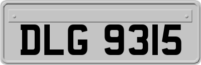 DLG9315