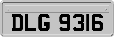 DLG9316
