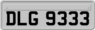 DLG9333