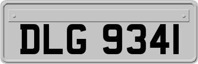 DLG9341
