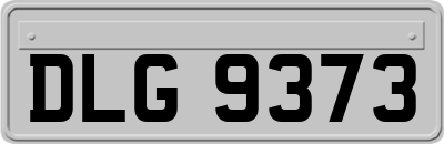 DLG9373
