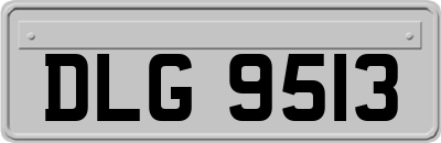 DLG9513