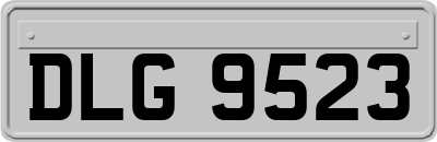 DLG9523