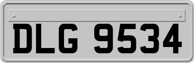 DLG9534