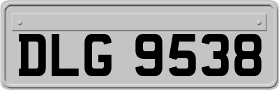 DLG9538