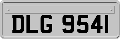 DLG9541