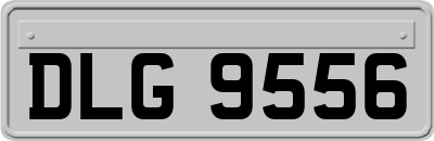 DLG9556