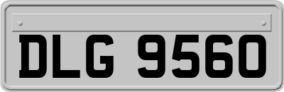 DLG9560