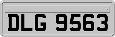DLG9563