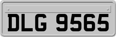 DLG9565