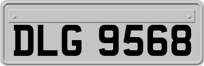 DLG9568