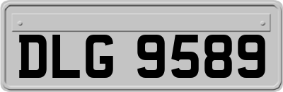 DLG9589
