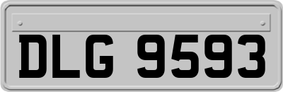 DLG9593