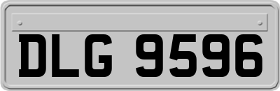 DLG9596