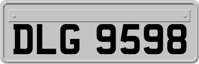 DLG9598