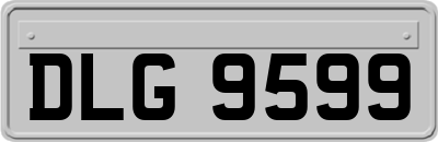 DLG9599