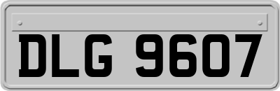 DLG9607