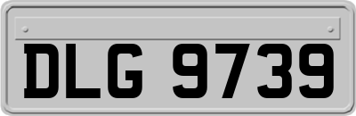 DLG9739