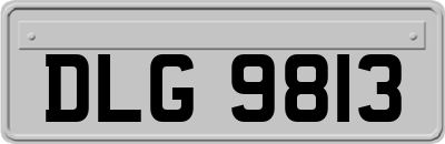 DLG9813