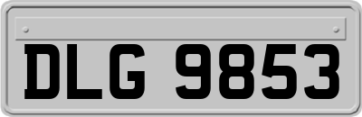 DLG9853